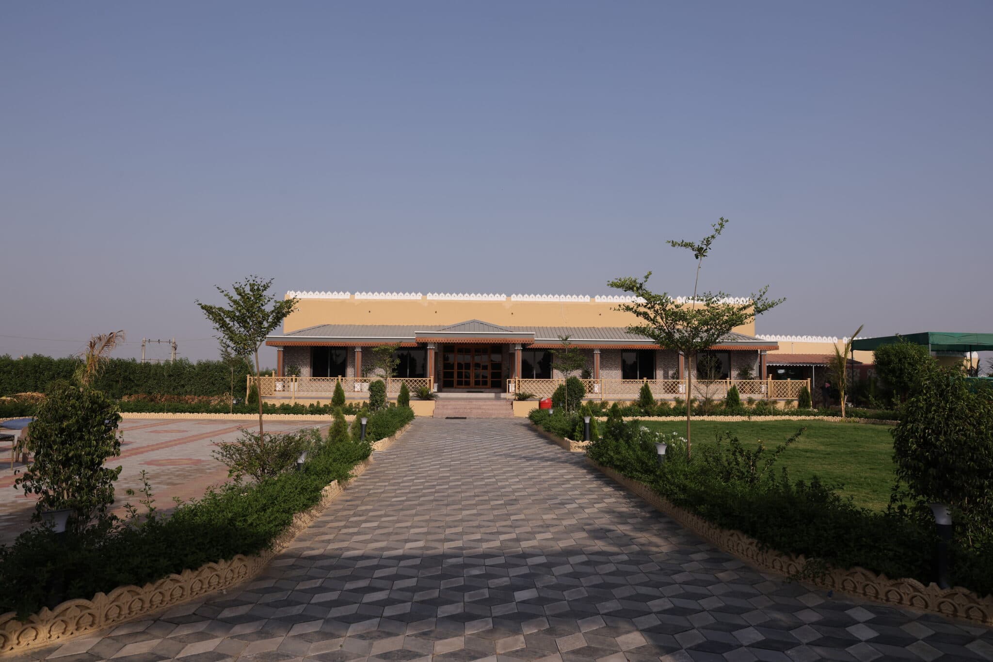 Wildlife adventure near Velavadar