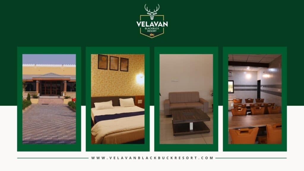 Luxury resort experience