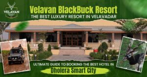 Ultimate Guide to Booking the Best Hotel in Dholera Smart City