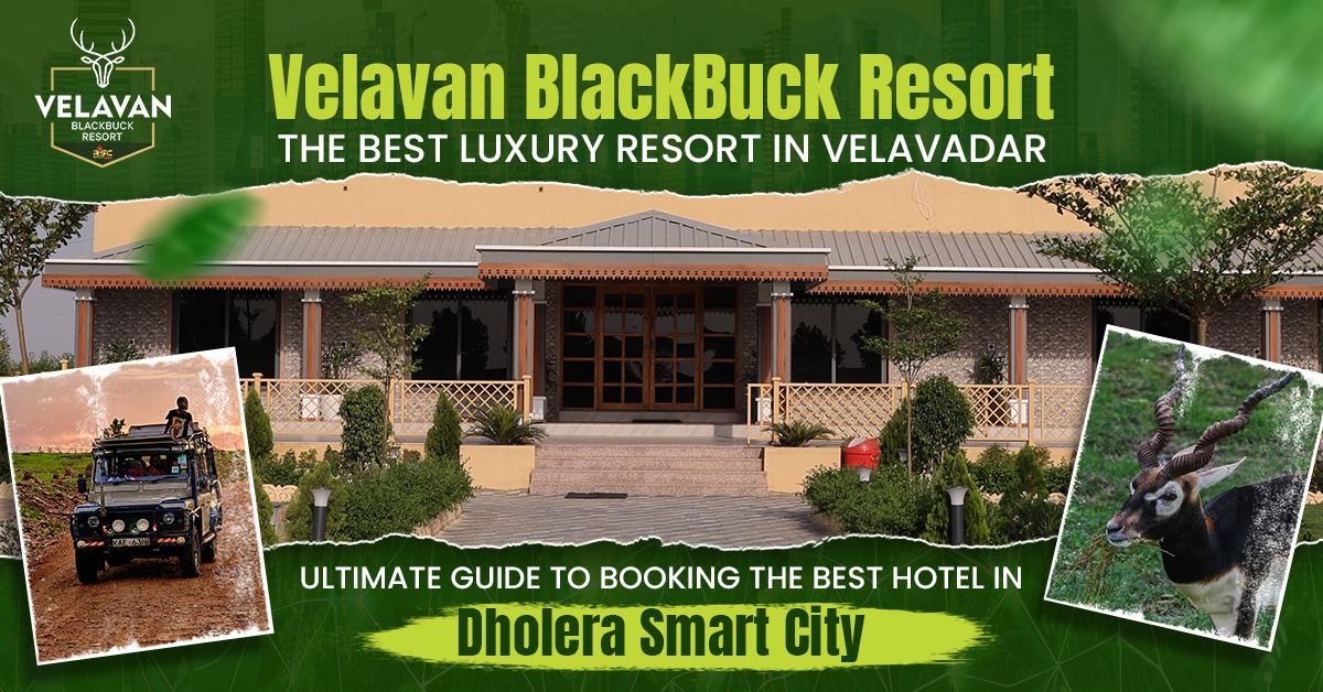 Ultimate Guide to Booking the Best Hotel in Dholera Smart City