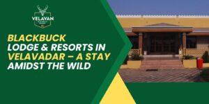 Blackbuck Lodge & Resorts in Velavadar – A Stay Amidst the Wild