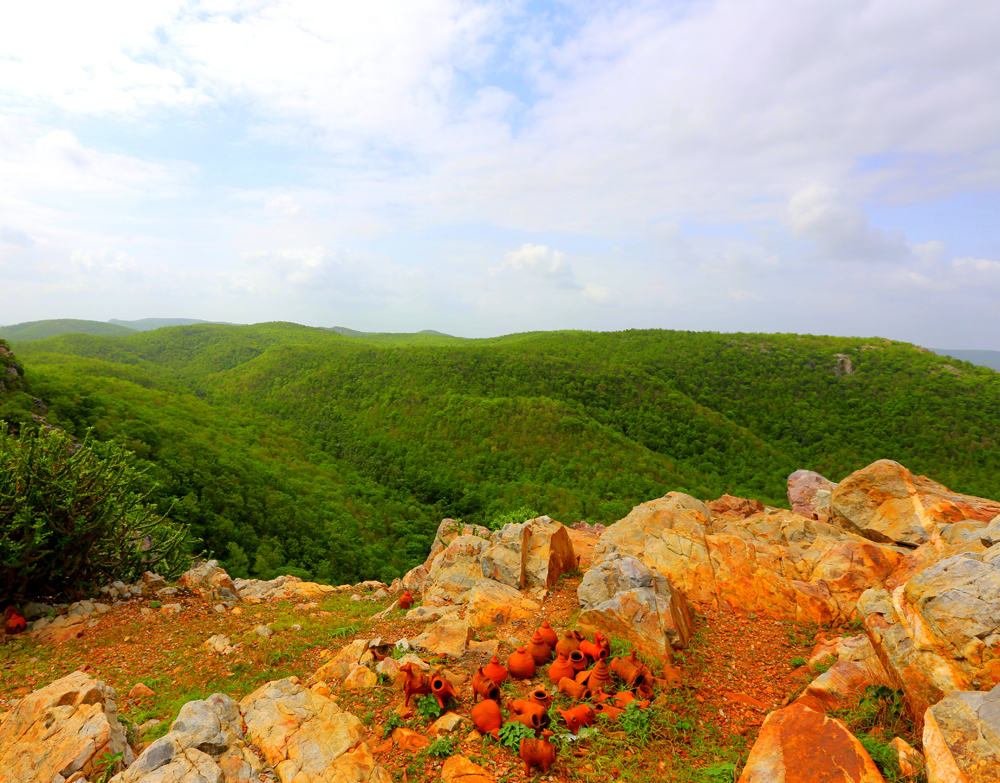 Jambughoda Wildlife Sanctuary: Weekend Wilderness